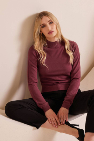 High-neck bordeaux sweater ARETH   